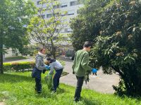 Nettoyons la nature CPB et CM2