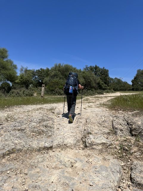 C’est reparti sur une zone moins ombragée mais c’est la que nous pensons voir les traces de chariots romains. Nous prenons aussi un temps une voie de transhumance et en haut, cheminement sur une crête 