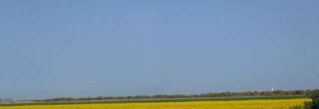 Jour 8 - SEVILLA => JEREZ DE LA FRONTERA