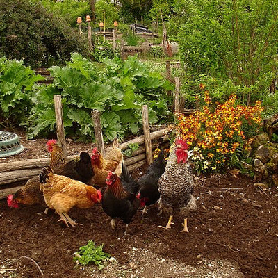 FRANCE - Exode Urbain : 54 % des Franciliens souhaitent quitter Paris dès que possible 