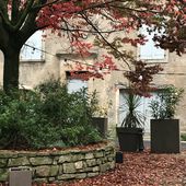 Suite de la suite de la vieille dame qui pelait les murs. - LIVRENVOL Bernadette Boissié-Dubus