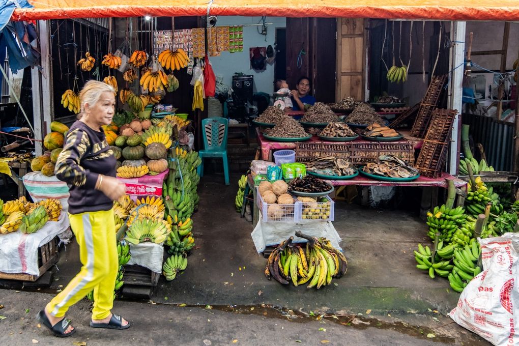 Tomohon Marché local coloré (boa, chien, poissons, chauve-souris)