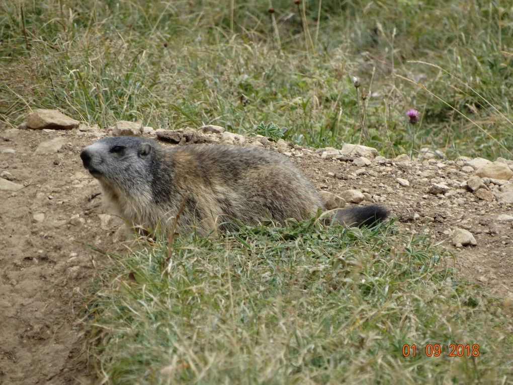 Rando. du Weekend : Le pas des Chattons 