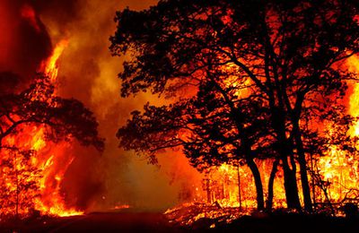 Entra en vigor la nueva Ley de Montes que permite construir en terrenos quemados