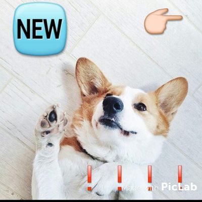 -❗❗❗❗⬇🆕neu🆕⬇❗❗❗❗-