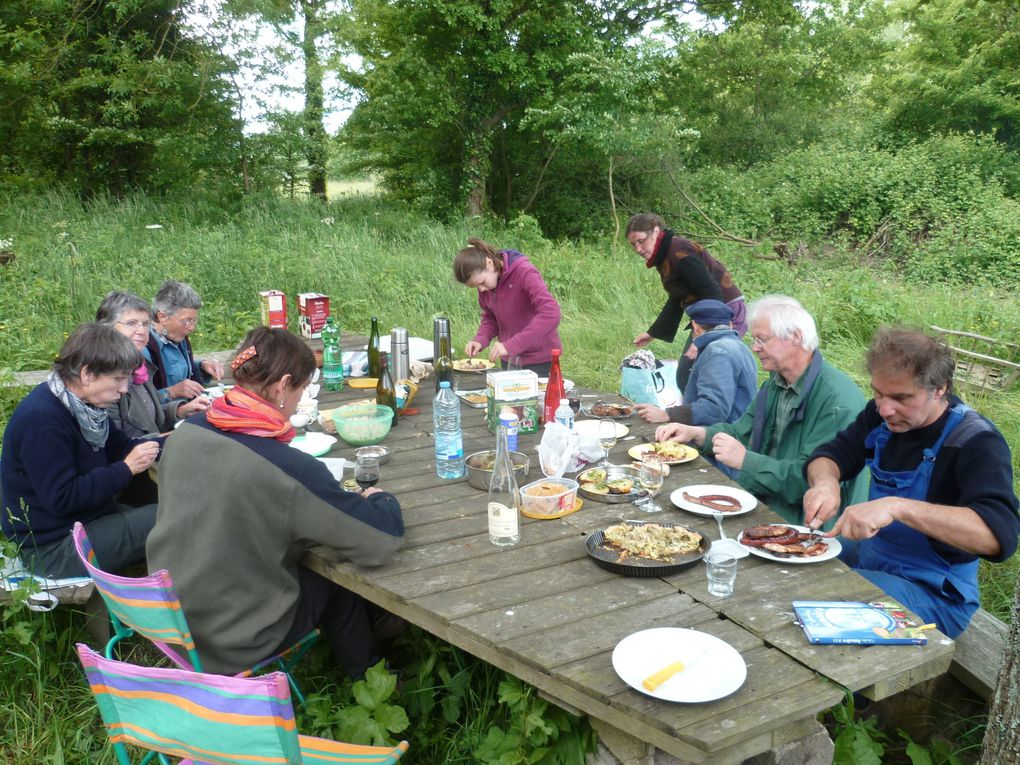 L'atelier potager : un rassemblement de jardiniers en herbe