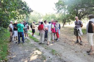 Sur les sentiers de Pleslin le 23 Septembre 2014