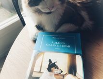 À malin, malin et demi