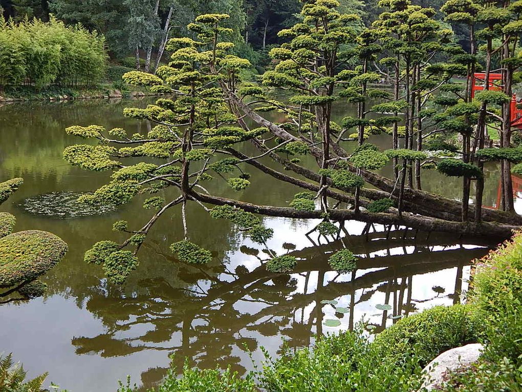 le Parc oriental de Maulévrier