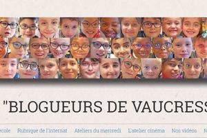 LES BLOGUEURS DE VAUCRESSON, année scolaire 2019/2020.