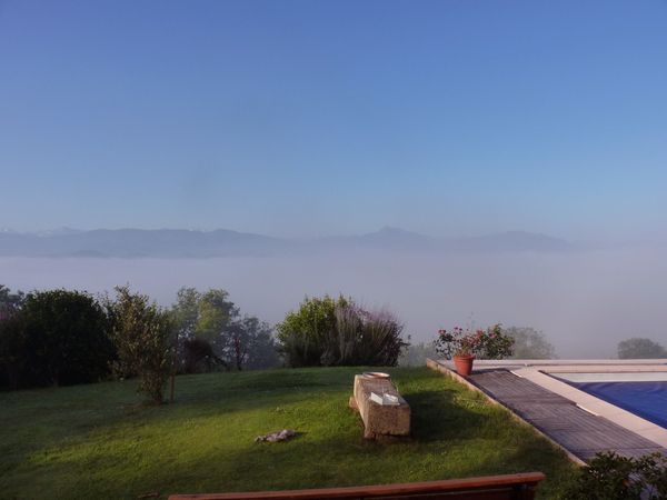 Un petit chien très heureux du territoire à sa disposition! L'entrée de la maison et lever de soleil sur les Pyrénées un jour où il va faire très beau ...