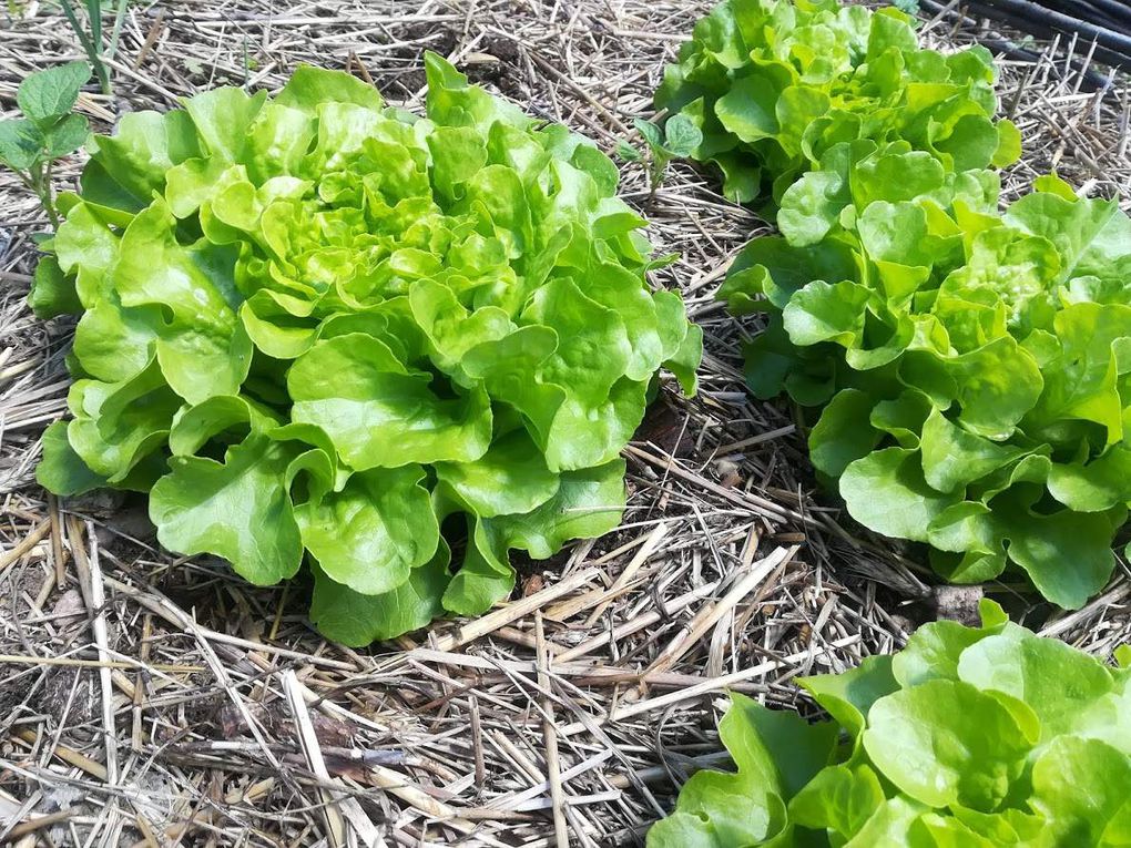 Nouvelles de mai et de juin !