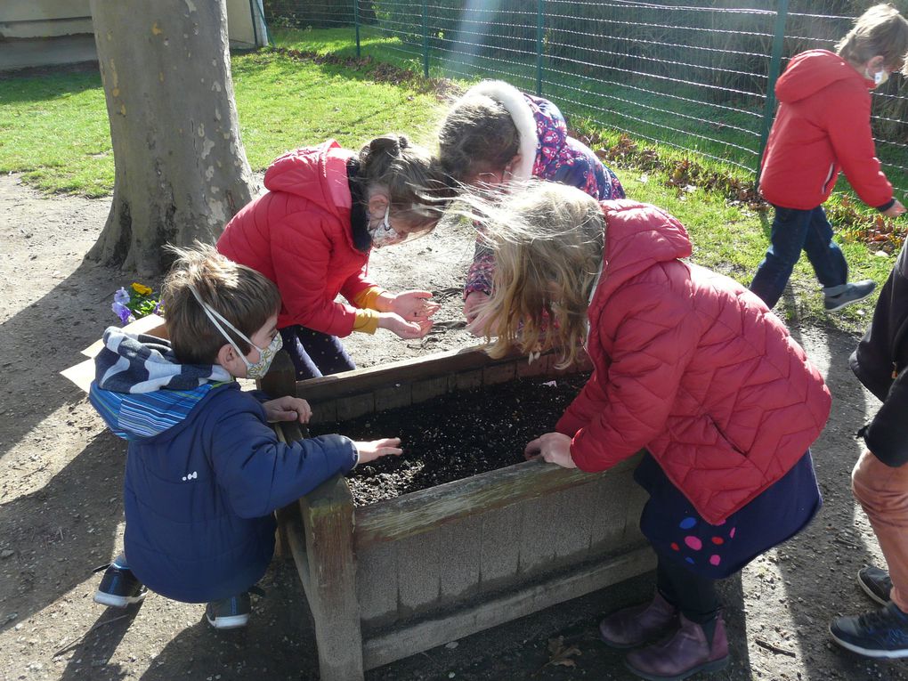 Embellissement de l'école