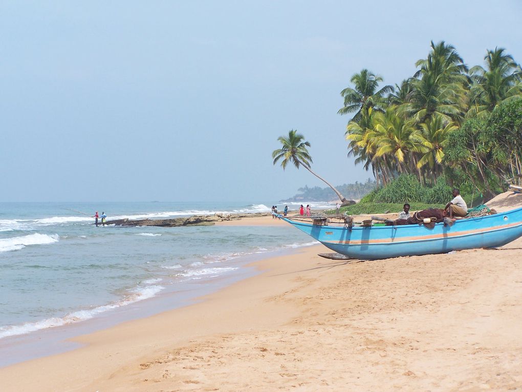 Kosgoda et Ambalangoda