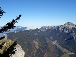 Les pyrénéens dans les Alpes: des chamoix en chartreuse