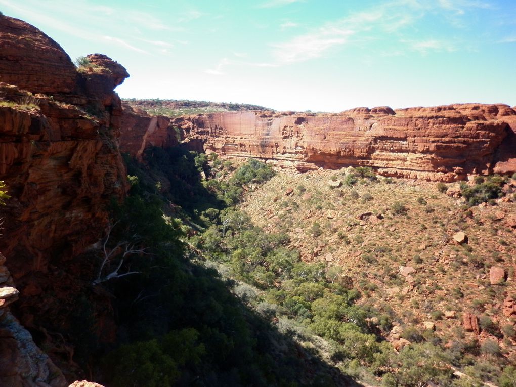 Album - Roadtrip-zum-ULURU-via-Great-Ocean-Road