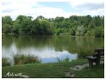 Le lac des Carolins (1)