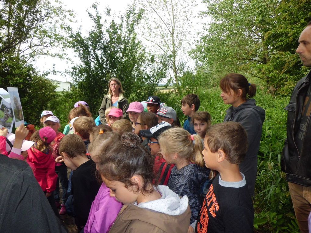 photos sortie scolaire cp/ce1 à Guines