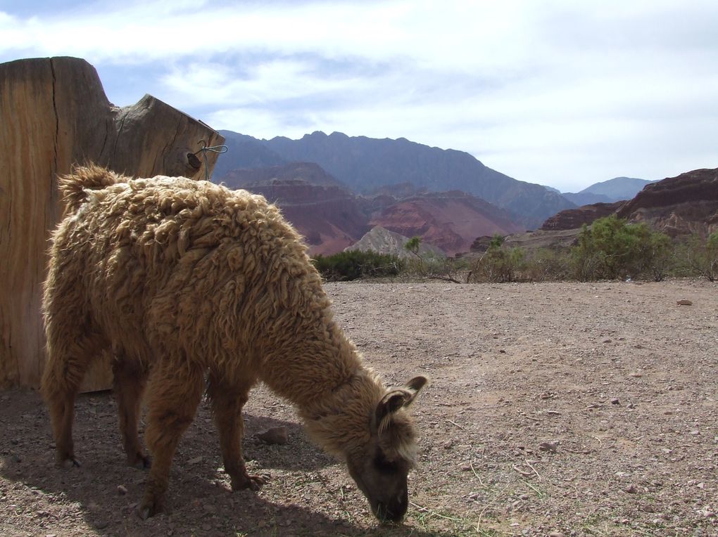 Album - REGION-SALTA