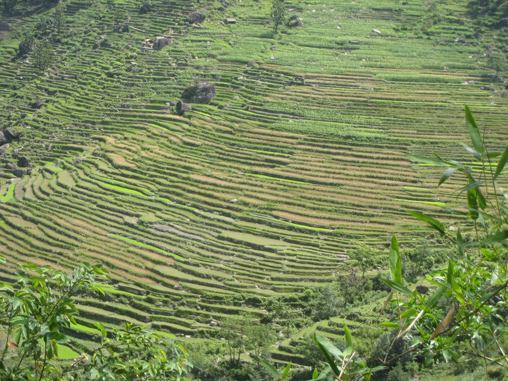 Album - Nepal, trek 1