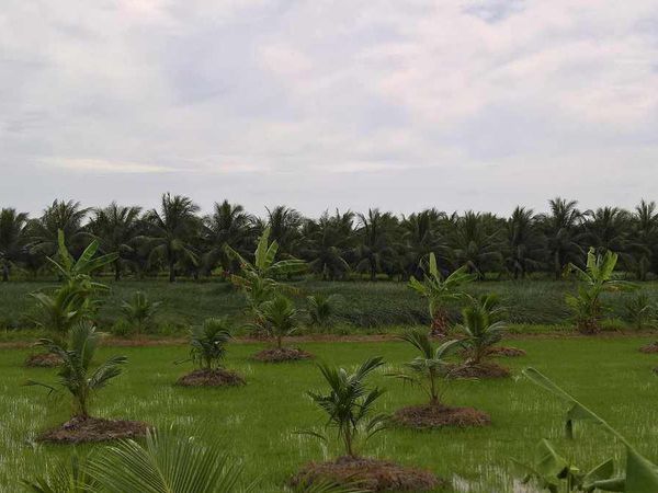 Ben Tre - Tra Vinh - Cai Be