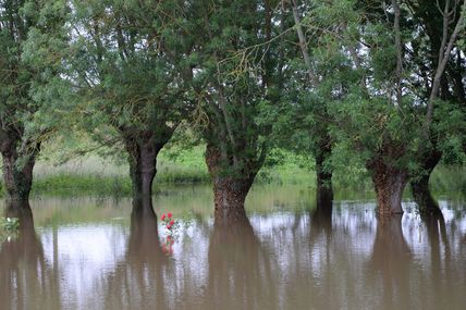 Une crue de printemps sur la Loire