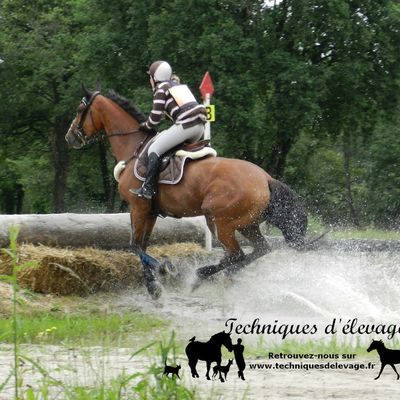 Reprise d'activité en fonction de la prise de sang précédente (3)