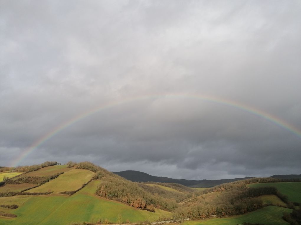 Samedi 30 janvier 2021