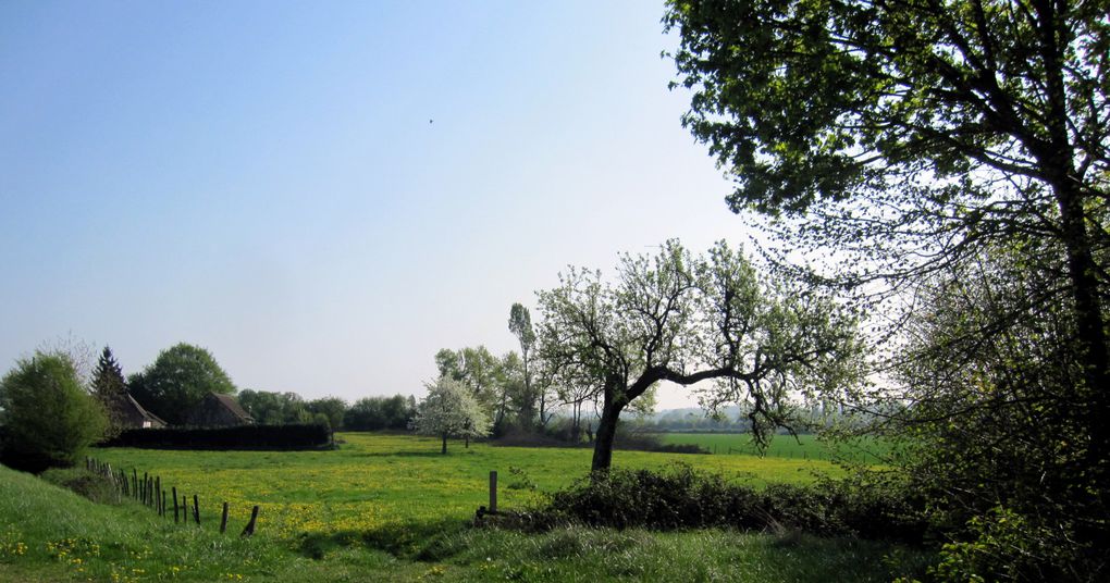 balades en vélo