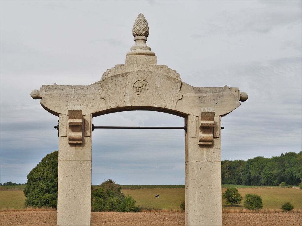 Ce sont de pauvres pékins, seulement des numéros, que les Alliés sont allés chercher en Asie pour qu'ils servent non pas de chair à canon, mais de main d'oeuvre à tout faire, derrière le front en 1914-1918. Beaucoup sont morts sur place, de fatigue, de maladie 