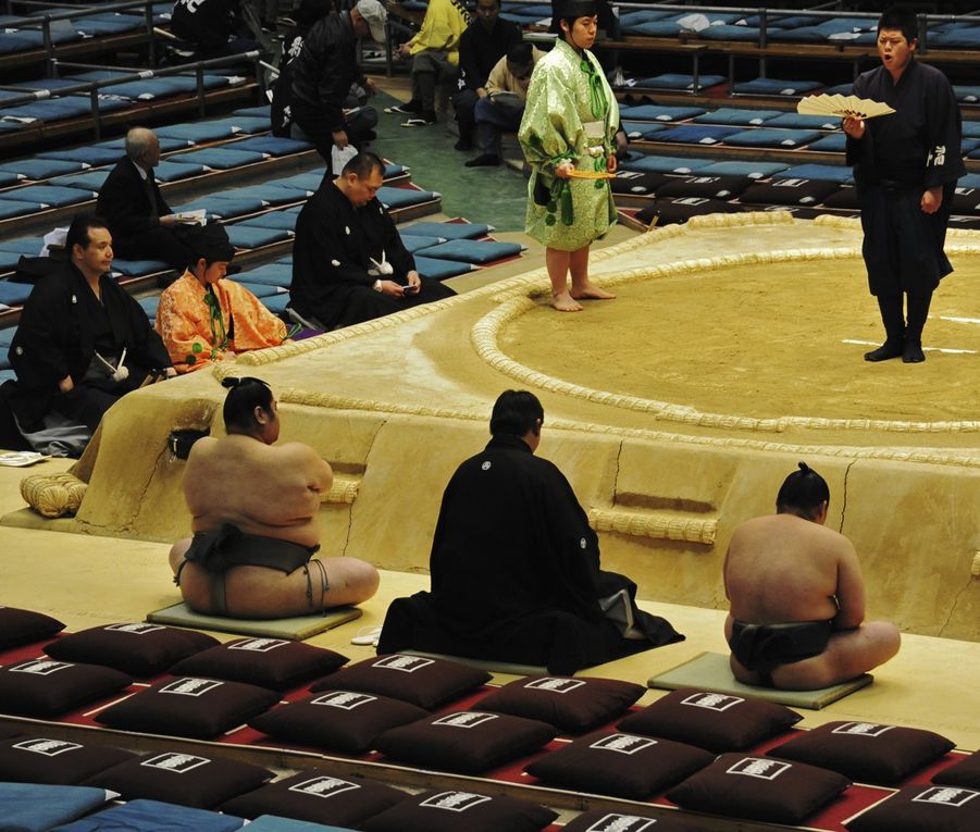 nous sommes dans le mois des pruniers en abricotiers en fleurs.tournoie de sumo et petit défilé de kimono danse de maiko