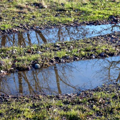Pluie, flaques et reflets !