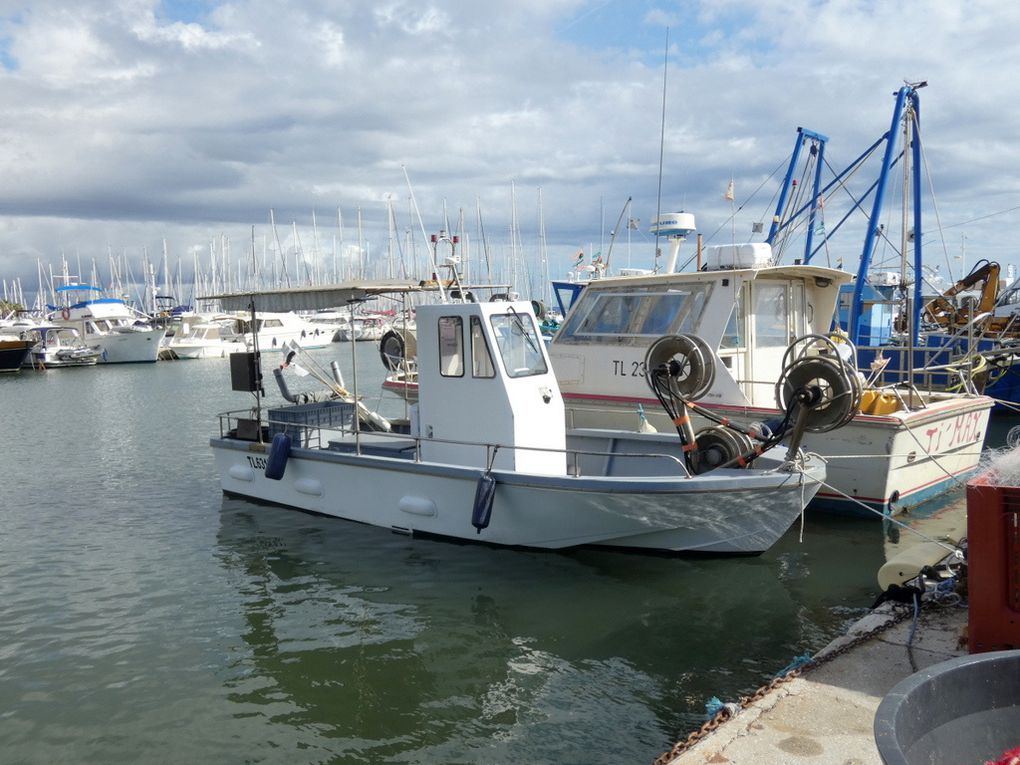 VAMF  TL631277 , a quai dans le port de Hyères (Var) le 17 ocbre 2019