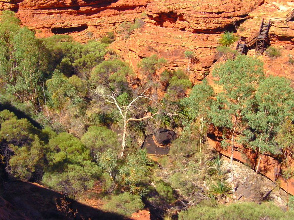 Album - The-Ultimate-Oz-Experience-2--Outback--The-Olgas---Ayers-Rock---Kings Canyon