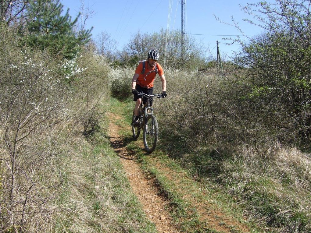 Rando 55 km "entre vigne et pierres dorées"