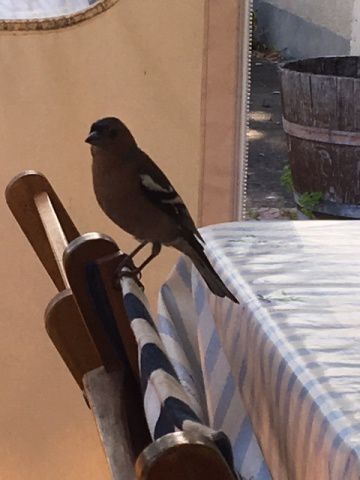 Donnez lui un nom et remportez une nuit dans notre cabane dans les arbres !