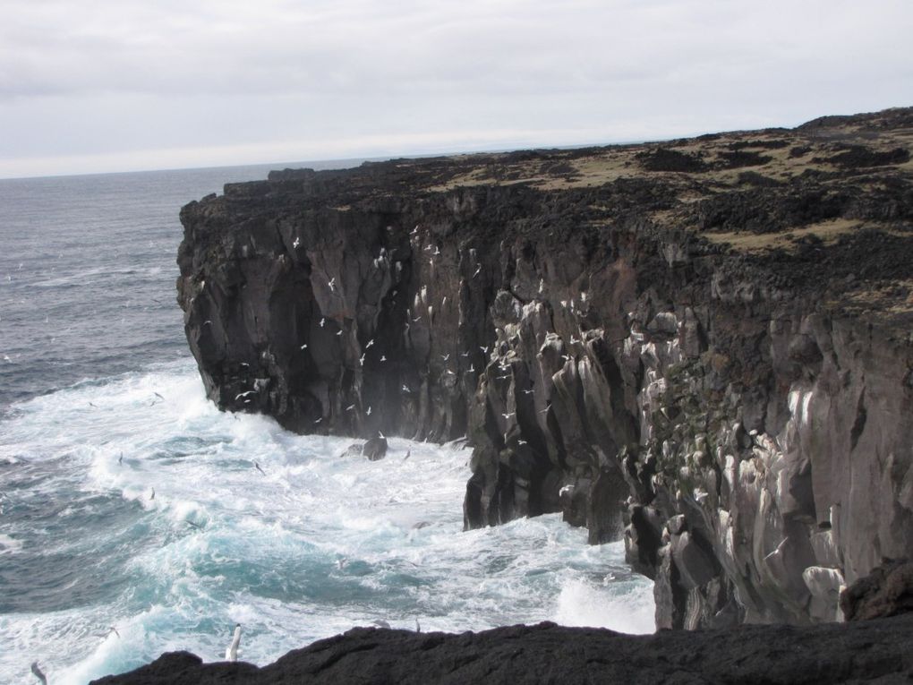 Album - 8---Reykjavik-et-l-ouest