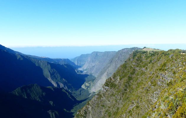 Vers la Plaine des Palmistes