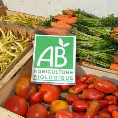 Le bio pour tous ! une réalité en route ! 
