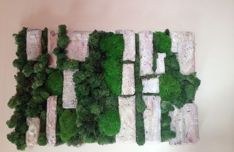 mur végétal  pierres apparentes mousses et lichen stabilisés