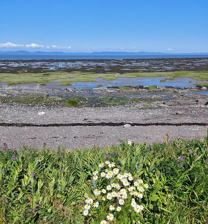 Au Parc de la Pointe à Rivière-du-Loup