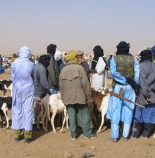 Touareg du Mali - Touareg du Niger