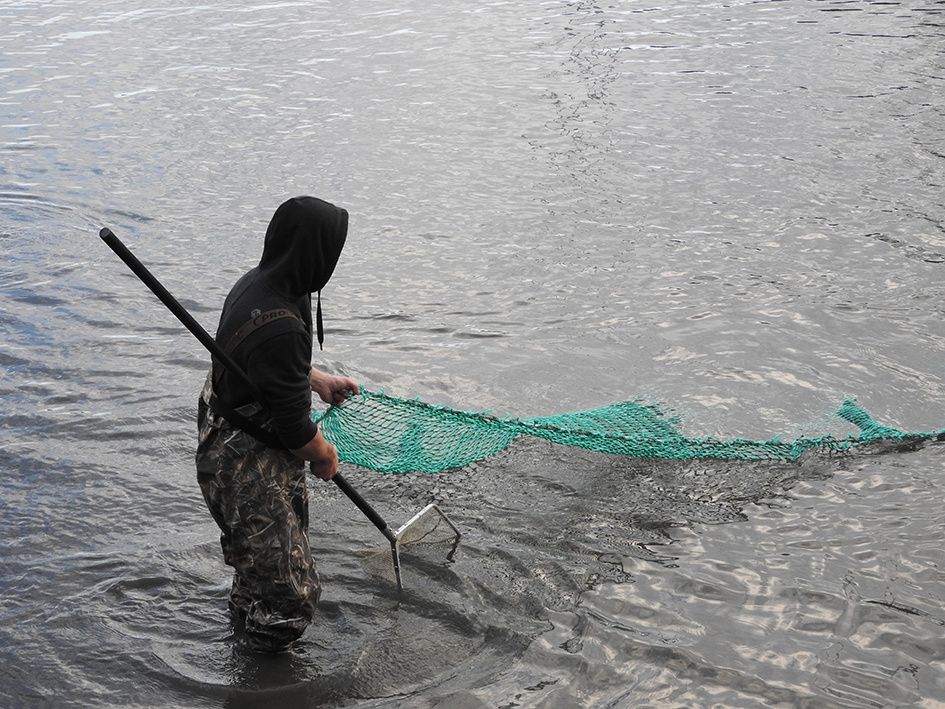 Nettoyage Boues Etang Rischlach