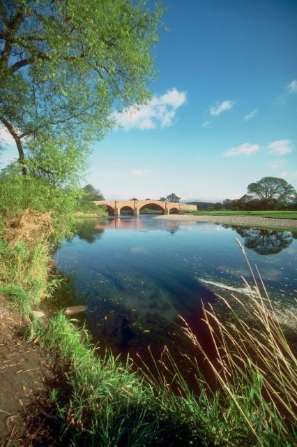 Album - merveillese-nature &quot;ANGLETERRE&quot;