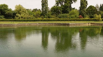 Un trèfle (panorama XXL)