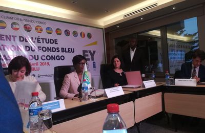 L’opérationnalisation du Fonds Bleu pour le bassin du Congo, enfin en marche.