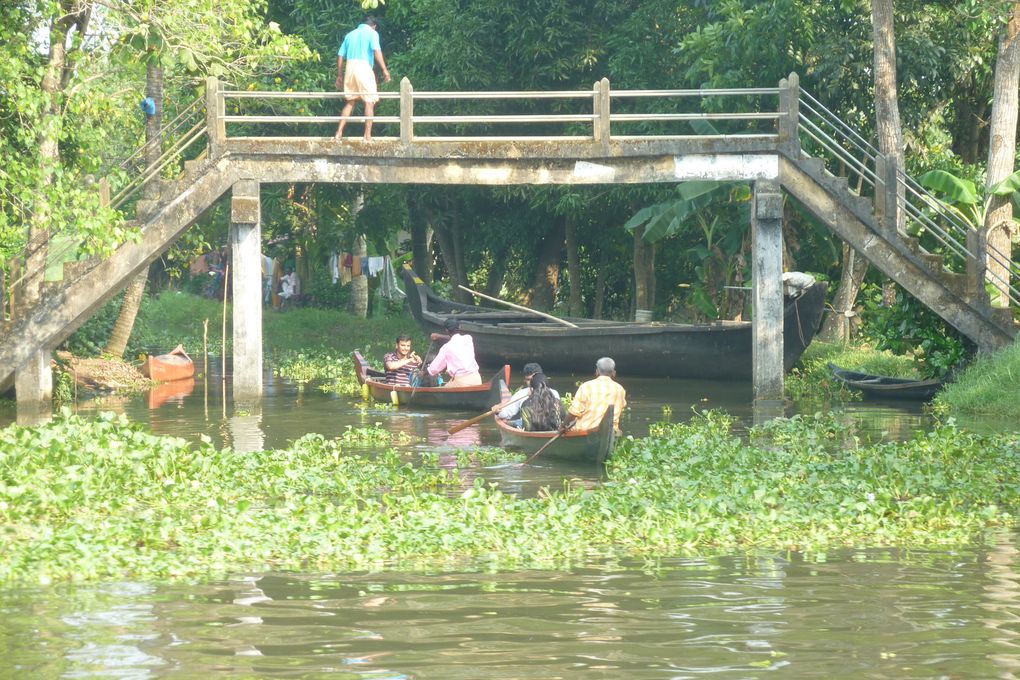 Des photos principalement des backwaters. J'espère que ca ne vous "saoulera" pas trop. Nous c'est notre partie préférée du voyage.