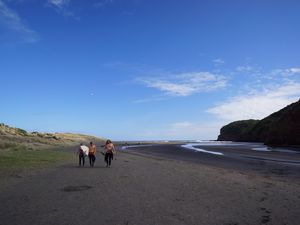 Nouvelle-Zélande : les plages à voir 