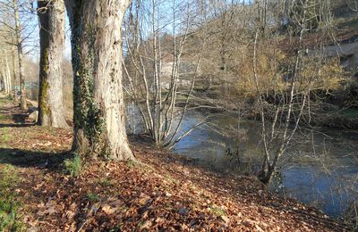 Pollution : 1 / nature : 0 . C'est ça aussi la France ....