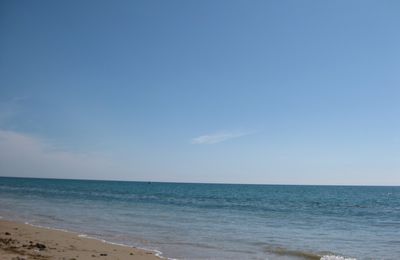 Coquillages et sable fin...